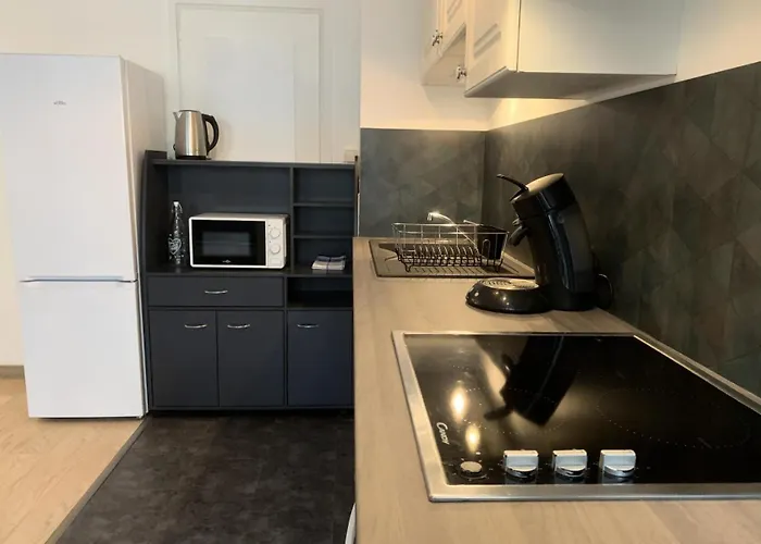 Apartment Le Chateau Durieux 1 - Tres Cosy Et Chaleureux 2 Pieces Mae-7941 Aix-les-Bains