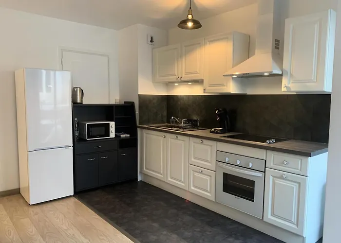 Le Chateau Durieux 1 - Tres Cosy Et Chaleureux 2 Pieces Mae-7941 Apartment Aix-les-Bains